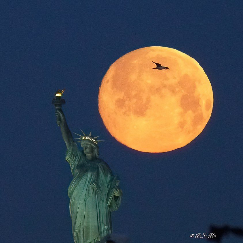 Full orange moon rising beside the Statue of Liberty as a bird crosses the moon