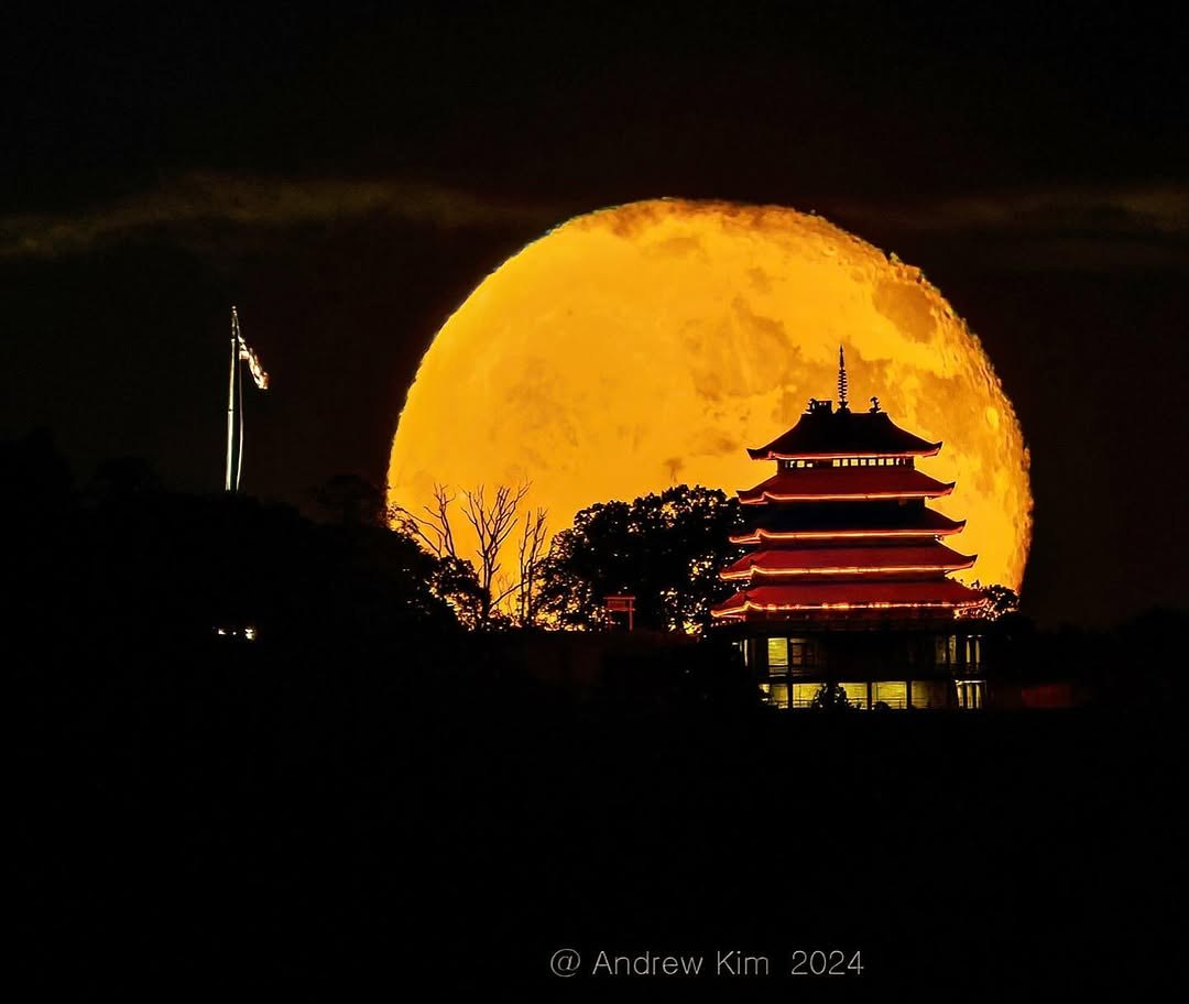 Full harvest moon rising behind an illuminated pagoda at night